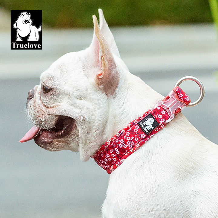 Floral Pet Collar Red 3XL