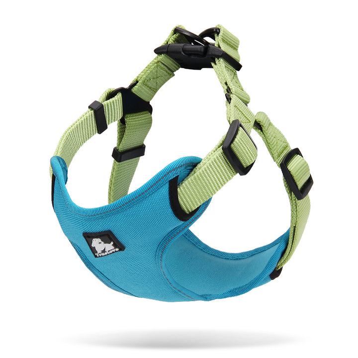 Urban Dog Harness Blue/Green M