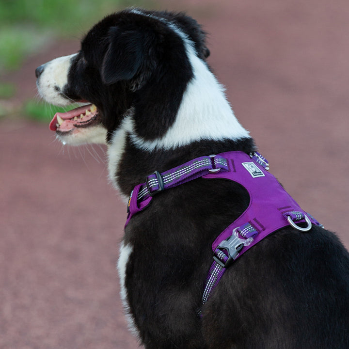 Lightweight 3M reflective Dog Harness Purple L