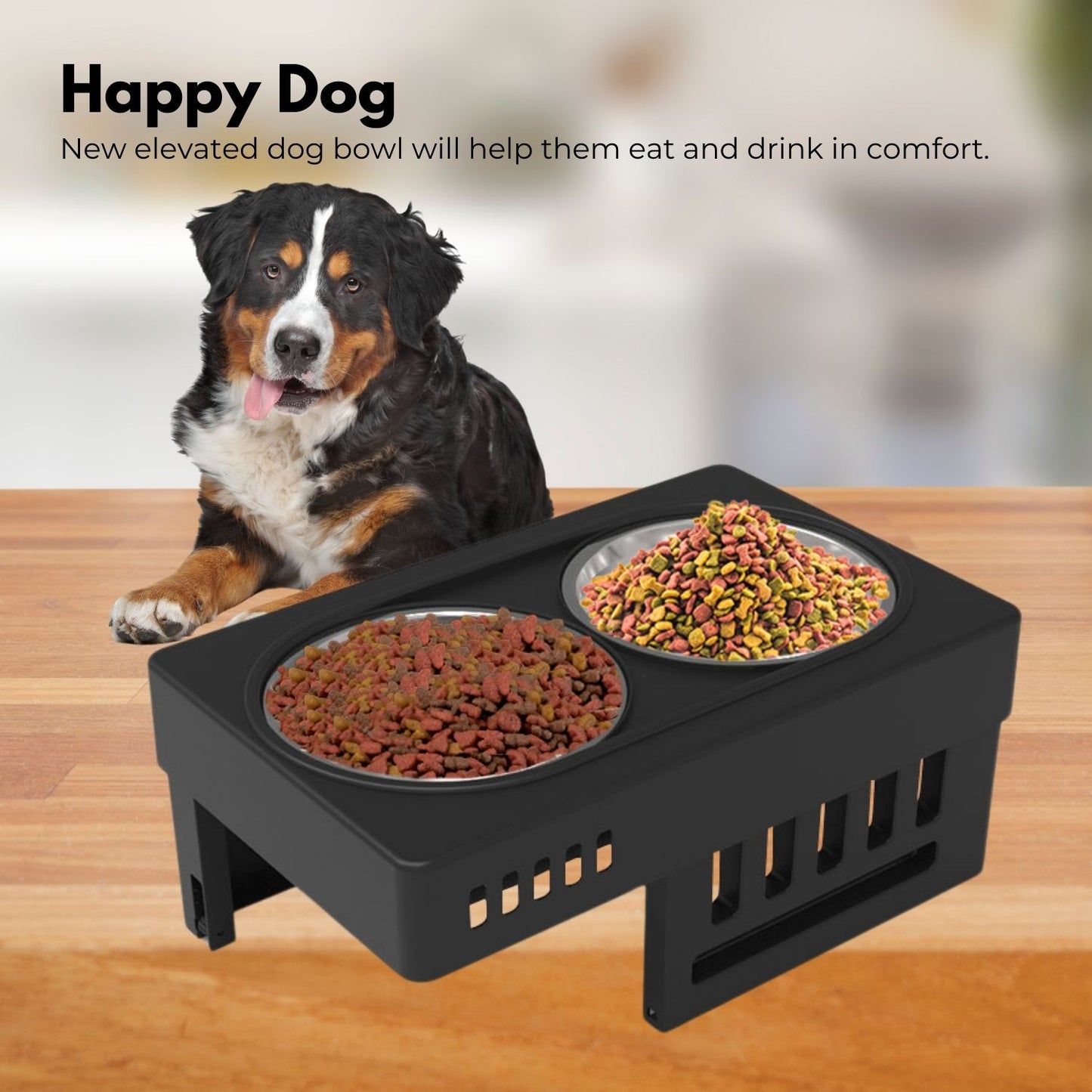 Elevated Raised Pet Feeder with Double Pet Bowl (Black)