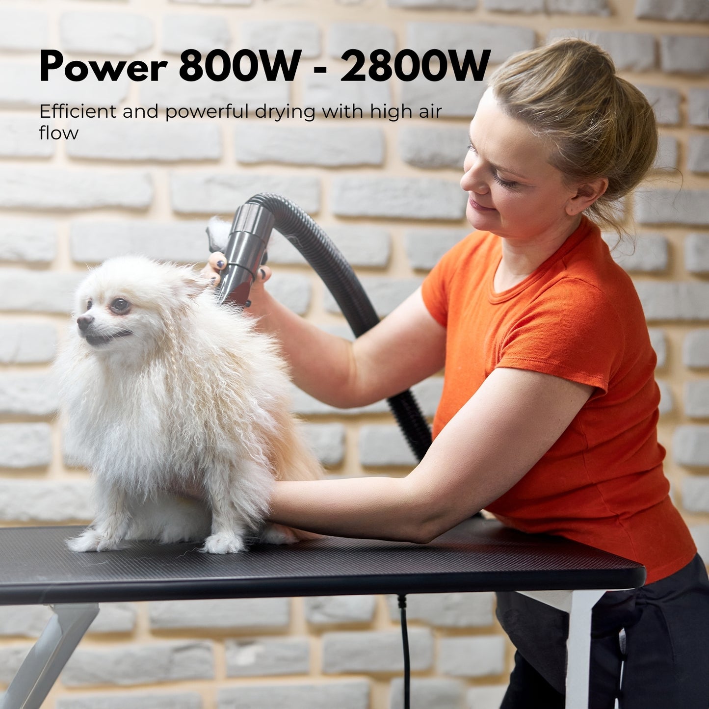 Pet Hair Dryer Advance Pet Grooming (White)