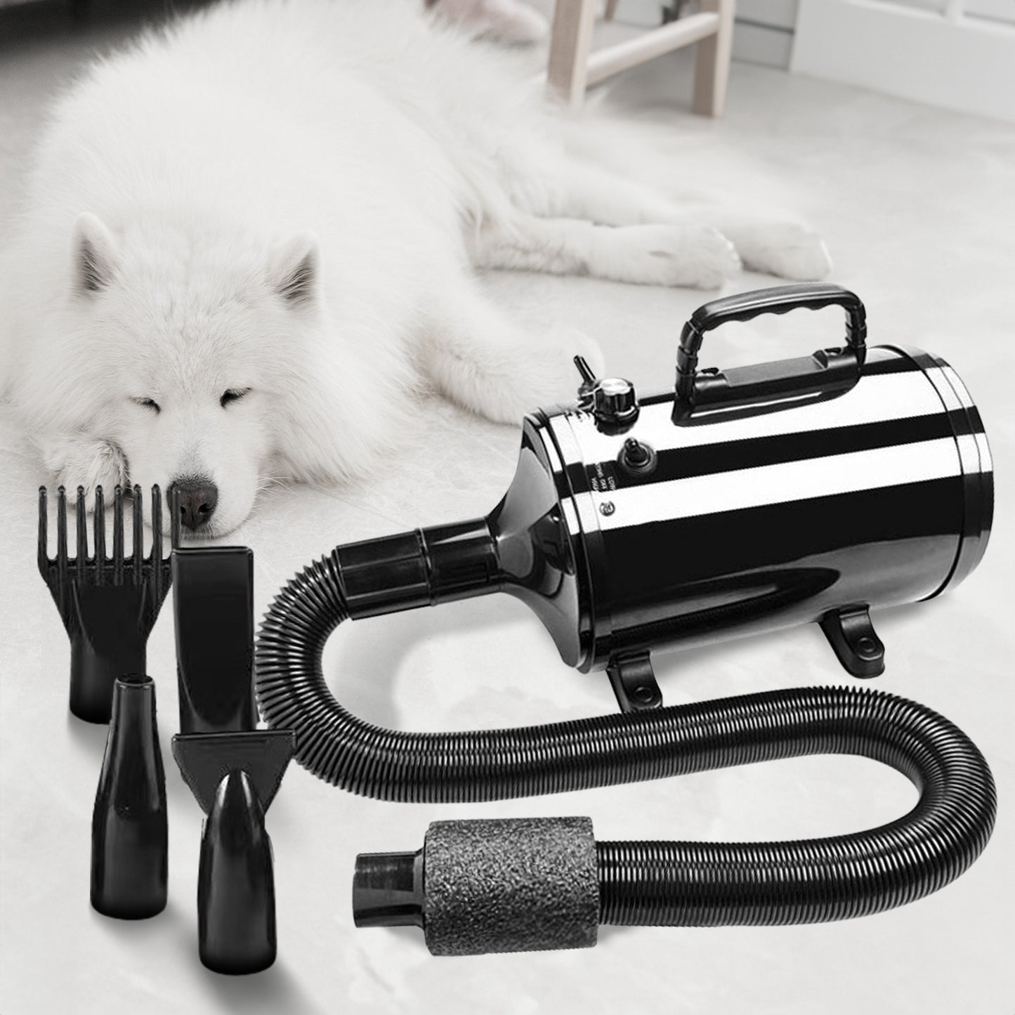 Pet Hair Dryer Advance (Black)