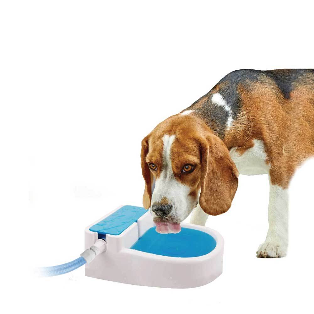 Auto Filling Dog Cat Pet Drinking Water Fountain - Outdoor Automatic Pet Drinking Bowl