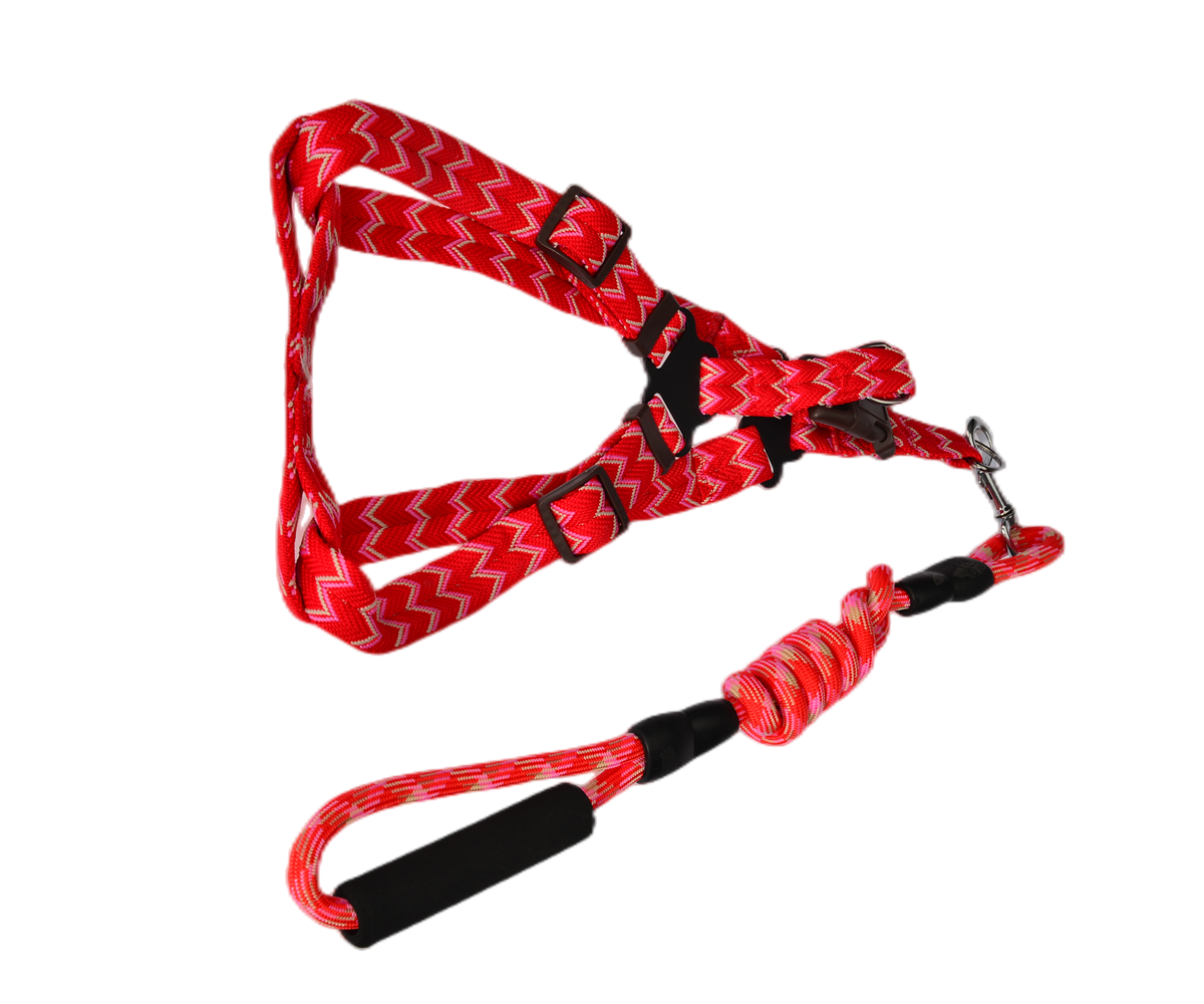 YES4PETS 2 X Medium Pet Dog Cat Puppy Kitten Rabbit Dog Harness Collar leash lead 5 Color