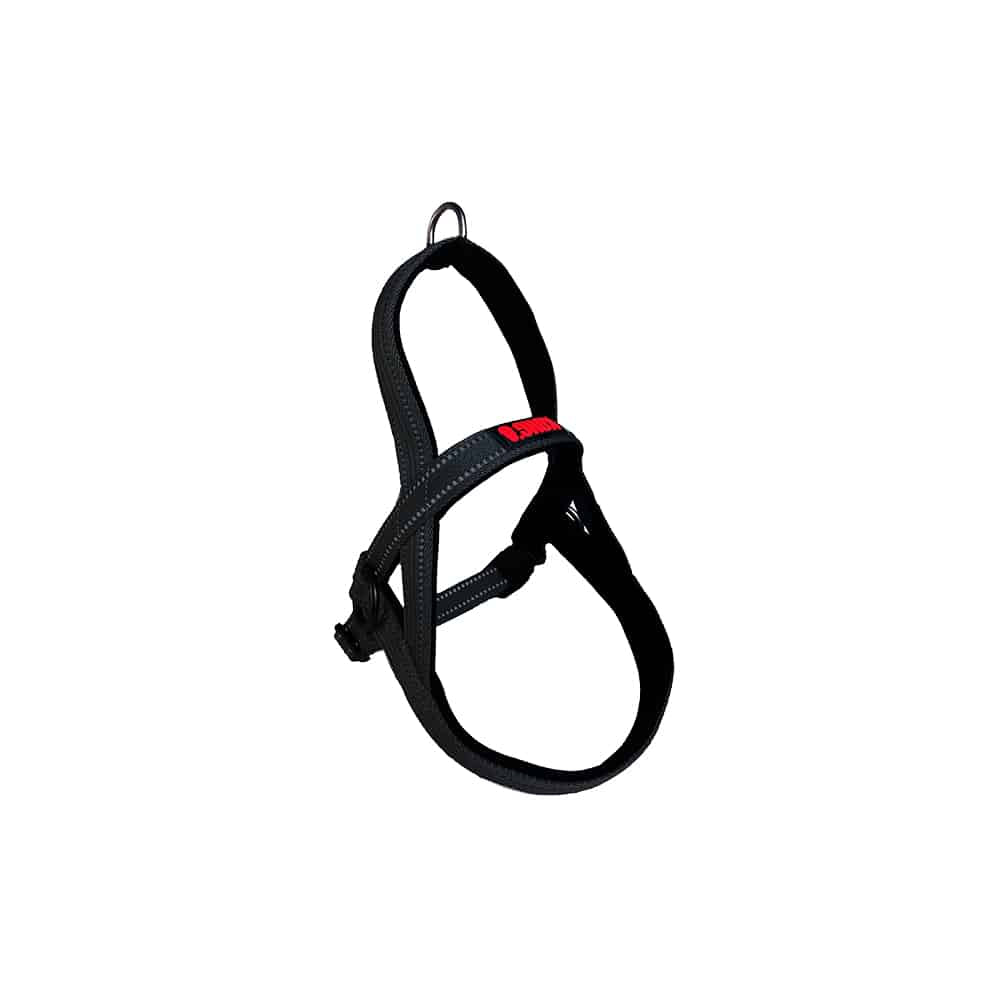 KONG Norwegian Black Harness Medium