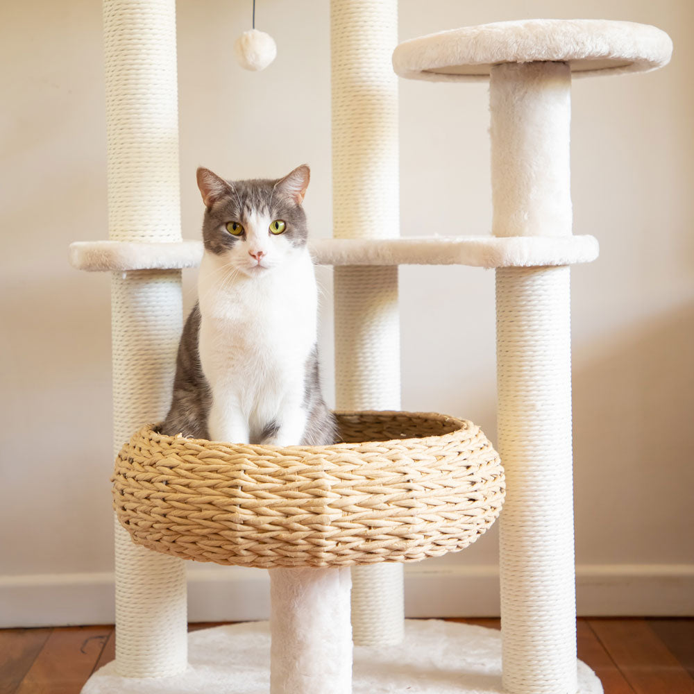 Modern Cat Tree With Wicker Baskets cat bed - 143cm Tall