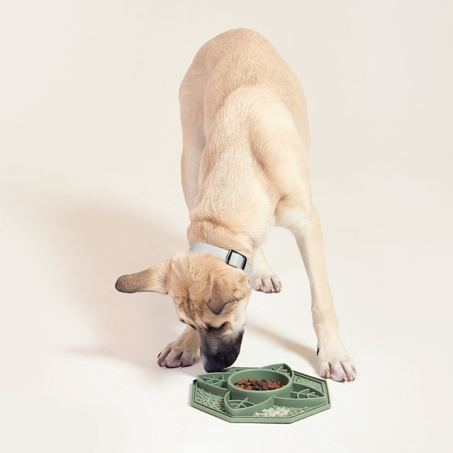 Flower Mandala Pet Bowl Lick Mat Bowl - Terracotta